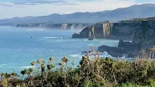 Cadavedo-Faro Busto