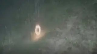 Did a portal open in the forest?