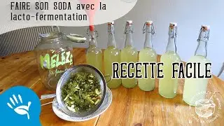 Réveillez vos papilles avec le soda de la transition alimentaire