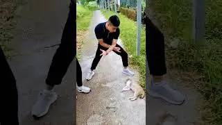 ortogim bilan olgan mushi korib qose