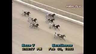 1993 Hawthorne Race Course SANDRA LYNN DIRECT Neil Coleman