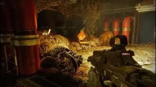 Destiny 2: Home decoration, Hive style.