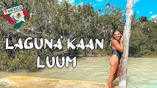 Laguna Kaan Luum | Quintanna Roo | Tulum | Akumal | Playa Del Carmen | Mexico