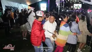 AMOR NO TE VAYAS ,LA VIVORA DE LA MAR ,LA ABEJA MIOPE│DESDE FRESNO NICHI, SAN FELIPE DEL PROGRESO,