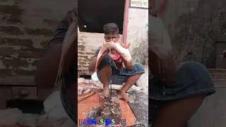 Incredible Giant Pangas Fish Cutting Techniques | Fish Cutting Skills