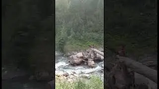 Exploring Sharan Waterfall: Sharan Forest Adventure Part 2