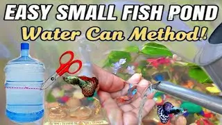 How to set-up🐟your DIY outdoor pond || no filter✅low-tech pond || guppy tank ||#tank #guppy