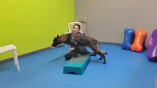 Koda Conditioning 