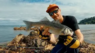 LURE FISHING FOR BASS | CATCHING BASS IN CRYSTAL CLEAR WATER