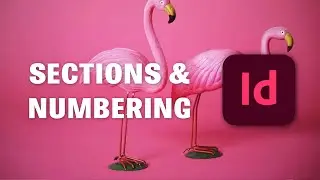 SECTIONS AND NUMBERING | Indesign professional course