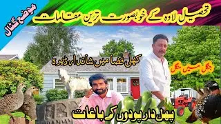 Peach, olive, Plum, garden || Tremendous green Amazon Jungle || تحصیل لاوہ کے خوبصورت ترین مقامات