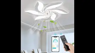 Flush Mount Modern Ceiling Fan with Dimmable LED Light Kit, Reversible Blades, 6 Speeds - Windmill