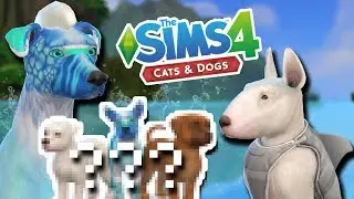 Mermaid-Dog & Bull Terrier Shark-Toothed Puppies?! 🐶🌴🌊