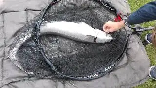 Fishing for Sturgeon at Toms Creek