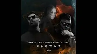 G&ouml;rkem Sala x Beroz Papito x Zaja - Slowly