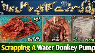 Scrapping A Water Donkey Pump Motor