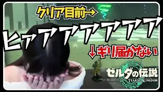 【ゼルダの伝説 ティアーズ オブ ザ キングダム】残りわずかな祠をやっていく #58【初見顔出し実況プレイ】