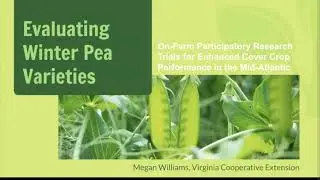 2025 On Farm Winter Pea Cover Crop Variety Trials Invitation