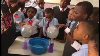 Science Experiment - 