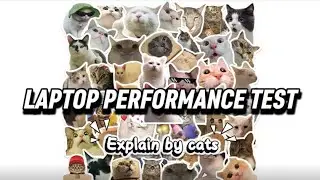 Laptop MacBook M4 13 Inch Performance Test Explained By Cats (Assignment by Miss Fathihah)
