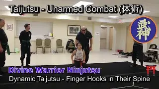 Finger Hooks in Their Spine - Dynamic Taijutsu (Unarmed Combat) (体術)