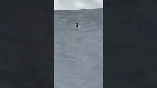 SKIER STRAIGHT LINES DOUBLE BLACK DIAMOND #freeskiing #ski #alexhackel #viral #thealps #1000skis