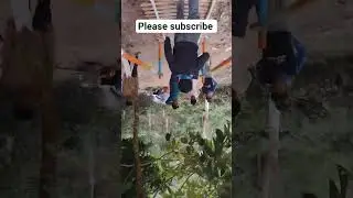 kardo moje vairal #viral #comedy #funny #shortvideo #india  #BOLOG CONTACT 07 🌺