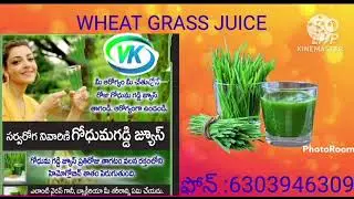 wheat grass juice Vijayawada 6303946309  vijay kumar🌾🌾