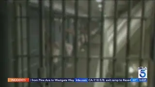 Officials address rise in crime and release of criminals