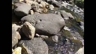 Waitawheta River Inner Tubing and Rock Hopping.