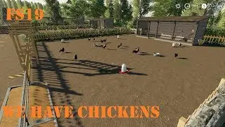 Farming Simulator 19  we have chickens now