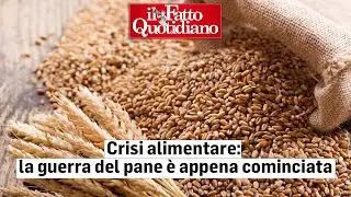 Crisi alimentare: la guerra del pane è appena cominciata