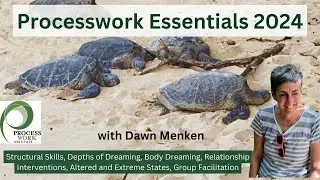 Ever watched a Processworker and wondered how they do it? Essentials 2024 with Dawn Menken
