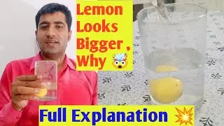 Lemon in a Glass of Water Look Larger , Why ? - Param Himalaya