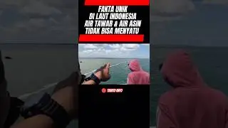 FAKTA UNIK ! Fenomena Alam di Laut Indonesia, Air Tawar & Asin tidak bisa menyatu #shorts #fypシ #fyp