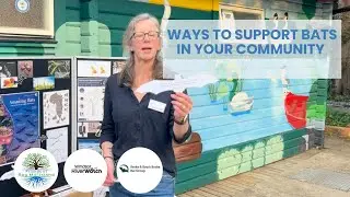 Ways to support your Bat community with Friends of Ray Mill Island