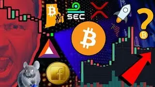 Bitcoin Accumulation Confirmed! FINALLY a GREEN Month! Will $BTC Dump? FB Coin = Rat Turds?