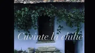 CUVINTE LA CHILIE - dialog cu ascultatorii 109