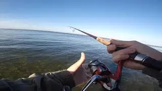Hav&oslash;rrede fiskeri i Limfjorden p&aring; spin med kystwobler - en l&aelig;kker efter&aring;rsdag