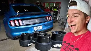 Buying the NASTIEST Wheels & Tires for My Shelby GT350!!