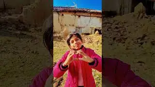 gulabi gulabi tor gal Gulabi#comedy