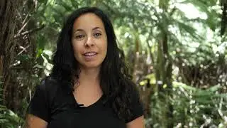 What is Design for Conservation?