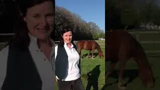 CPD for Therapists with Horses