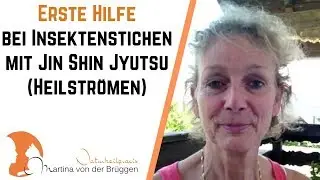 1. Hilfe bei Insektenstichen mit Jin Shin Jyutsu (Heilstr&ouml;men)