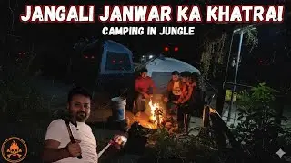 A Mysterious Night in the Jungle: Camping Adventure 
