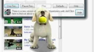 Sugar plays ball on my screen! (Foopets desktop)