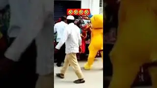 Funny Videos of Indain Teddy Bears