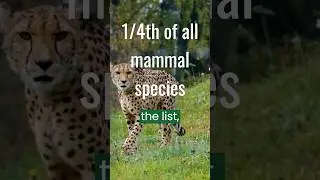 The Red List: The Ultimate Guide to Wildlife Conservation #information #fact #birds #nature #redlist