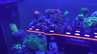 Waterbox peninsula 7225