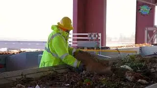 Inside Yolo County&rsquo;s High-Tech Central Landfill: The Future of Recycling & Sustainability